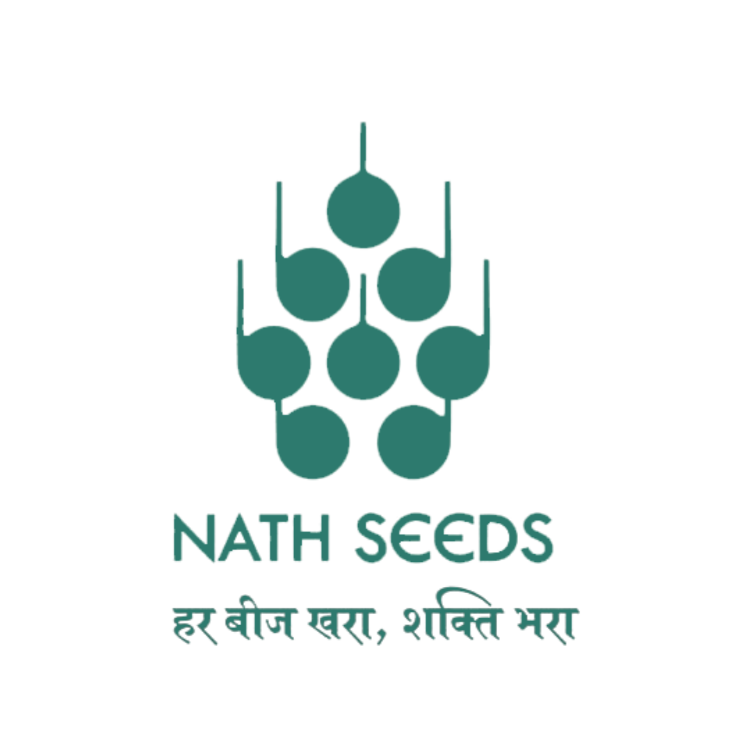 Logo 5