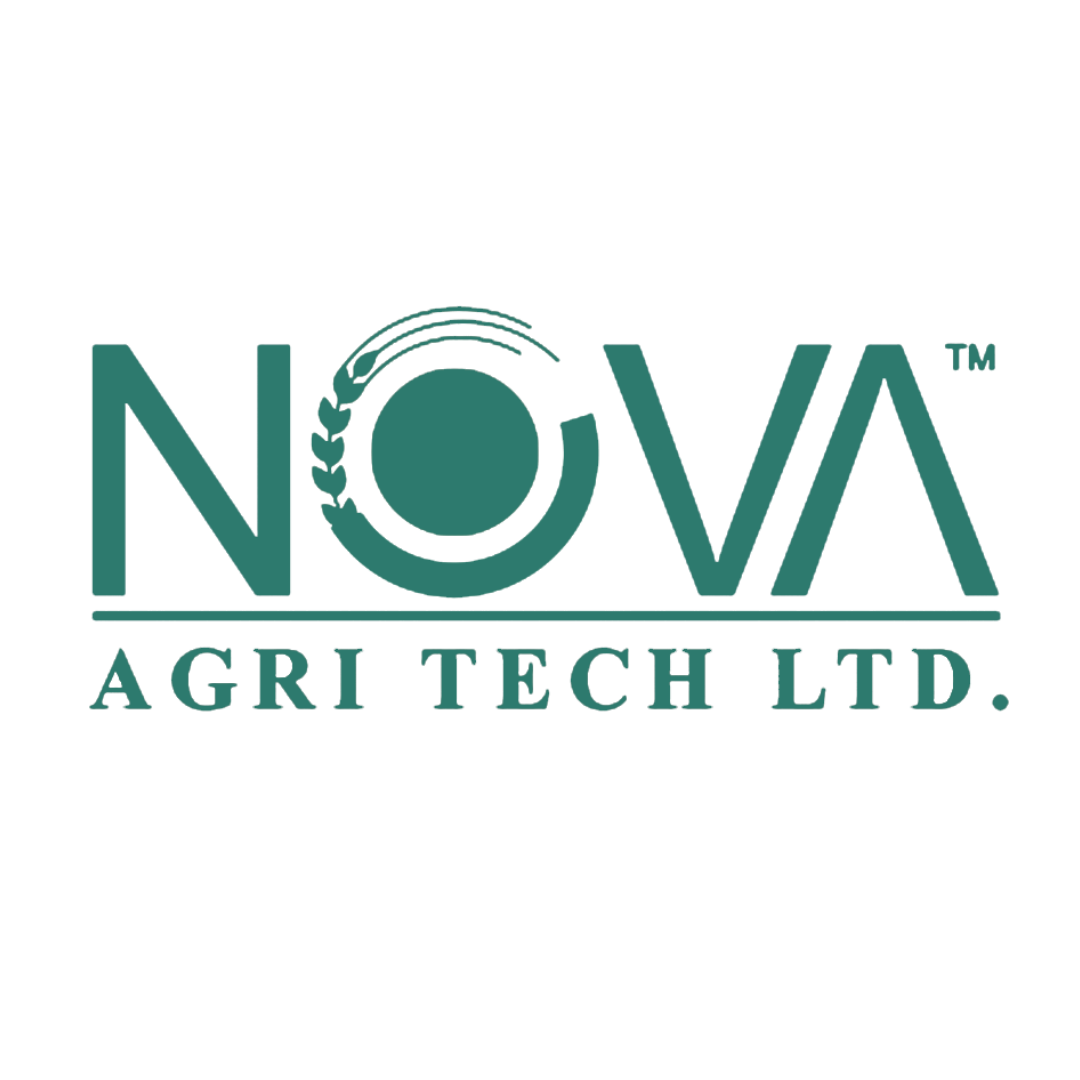 Logo 6