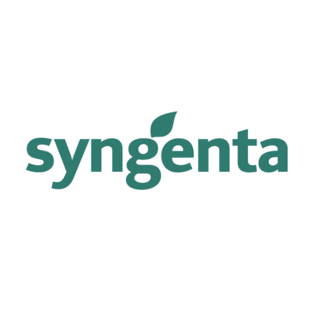 Logo 11