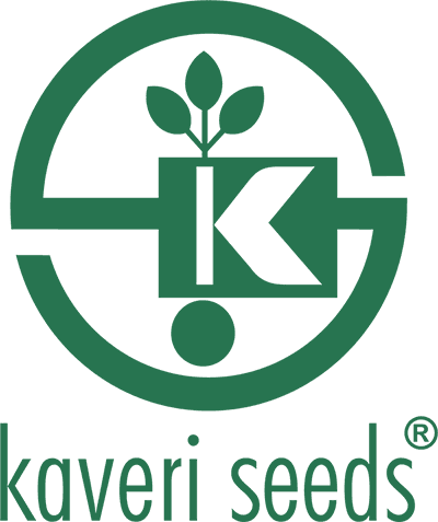 Logo 19