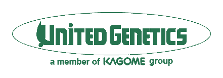 Logo 10